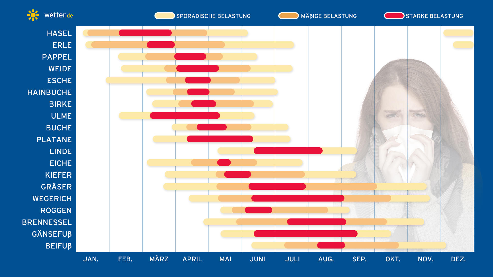 Feinstaub in Deutschland: Grenzwerte deutlich überschritten Die Graphik zeigt, wann welche Pollen normalerweise fliegen: Ein Pollenflugkalender.