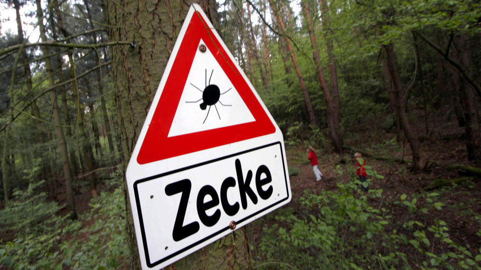 Hirnentzündung durch Zecken: Bundesweit fünf neue Risikogebiete Ein Warnschild mit der Aufschrift