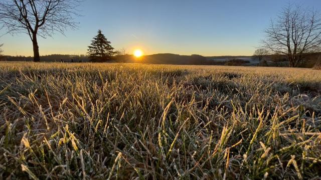 Es wird wieder saukalt - bis -10 Grad