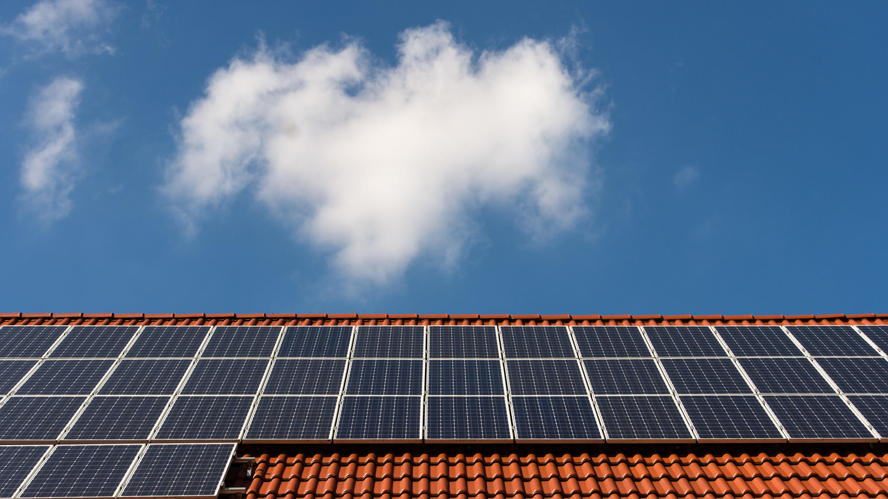 Brauchen wir in der Klimakrise eine Ökodiktatur? Solarzellen liegen auf einem Ziegeldach.