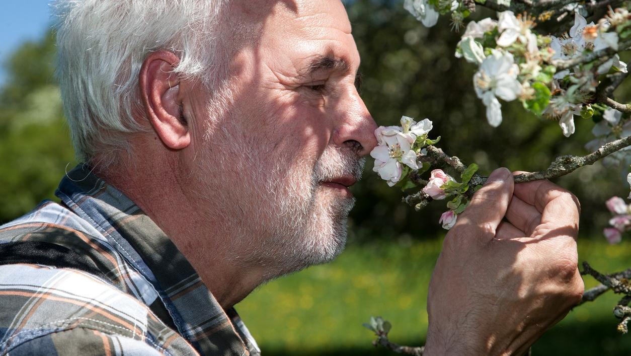 Das sagen die März-Bauernregeln über das Wetter im April und Mai Bauernregeln für das Wetter