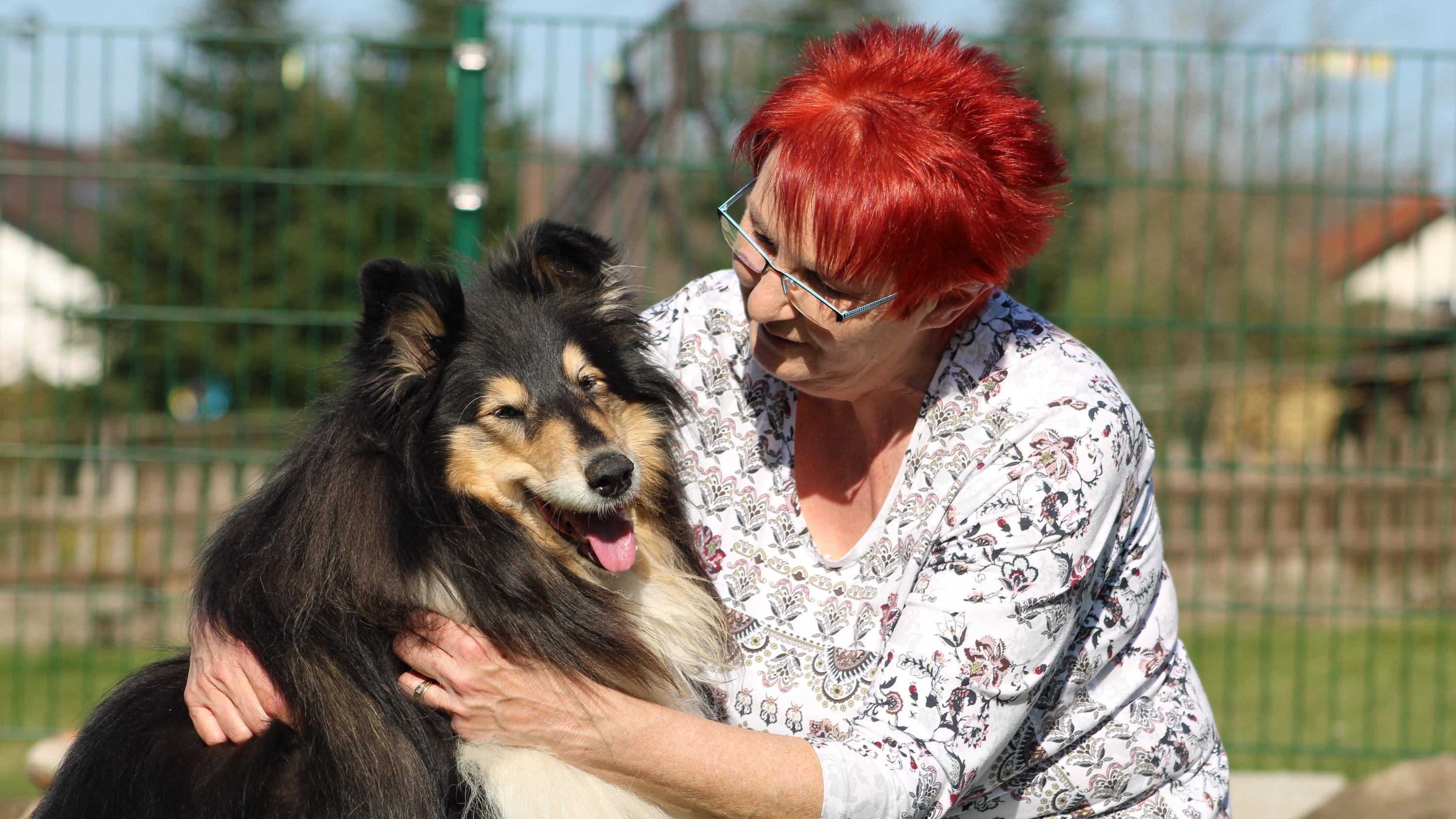 Die Auwaldzecke kann Hundemalaria auslösen Mittlerweile hat Emmi Lingnau die Hunde öfter an der Leine und achte darauf, dass sie ihren Kopf und Hals nicht mehr ins Gebüsch stecken.