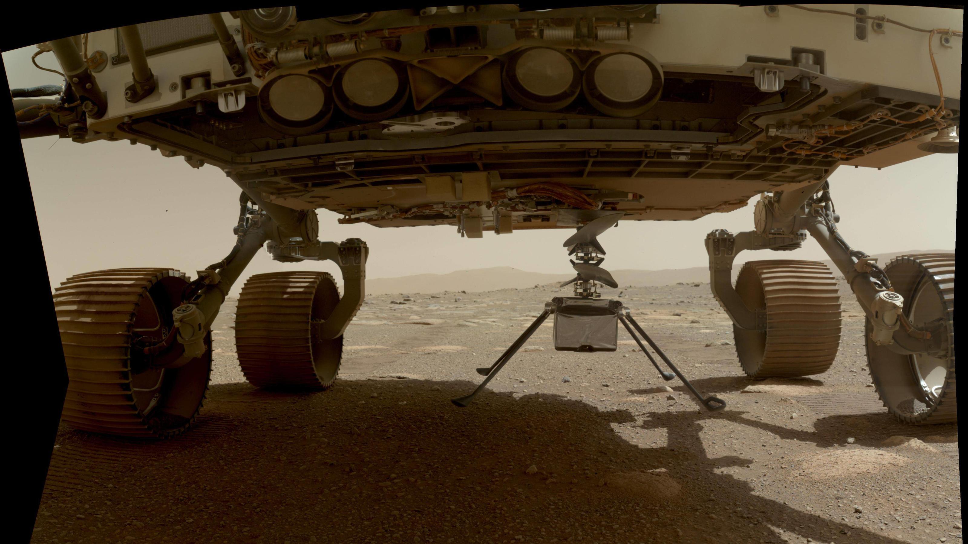 Mars-Helikopter Ingenuity startet frühestens am 14. April 2021 March 30, 2021, Mars Surface: NASA s Ingenuity helicopter can be seen here with all four of its legs deployed before dropping from the belly of the Perseverance rover on March 30, 2021, the 39th Martian day, or sol, of the mission. This image was ta