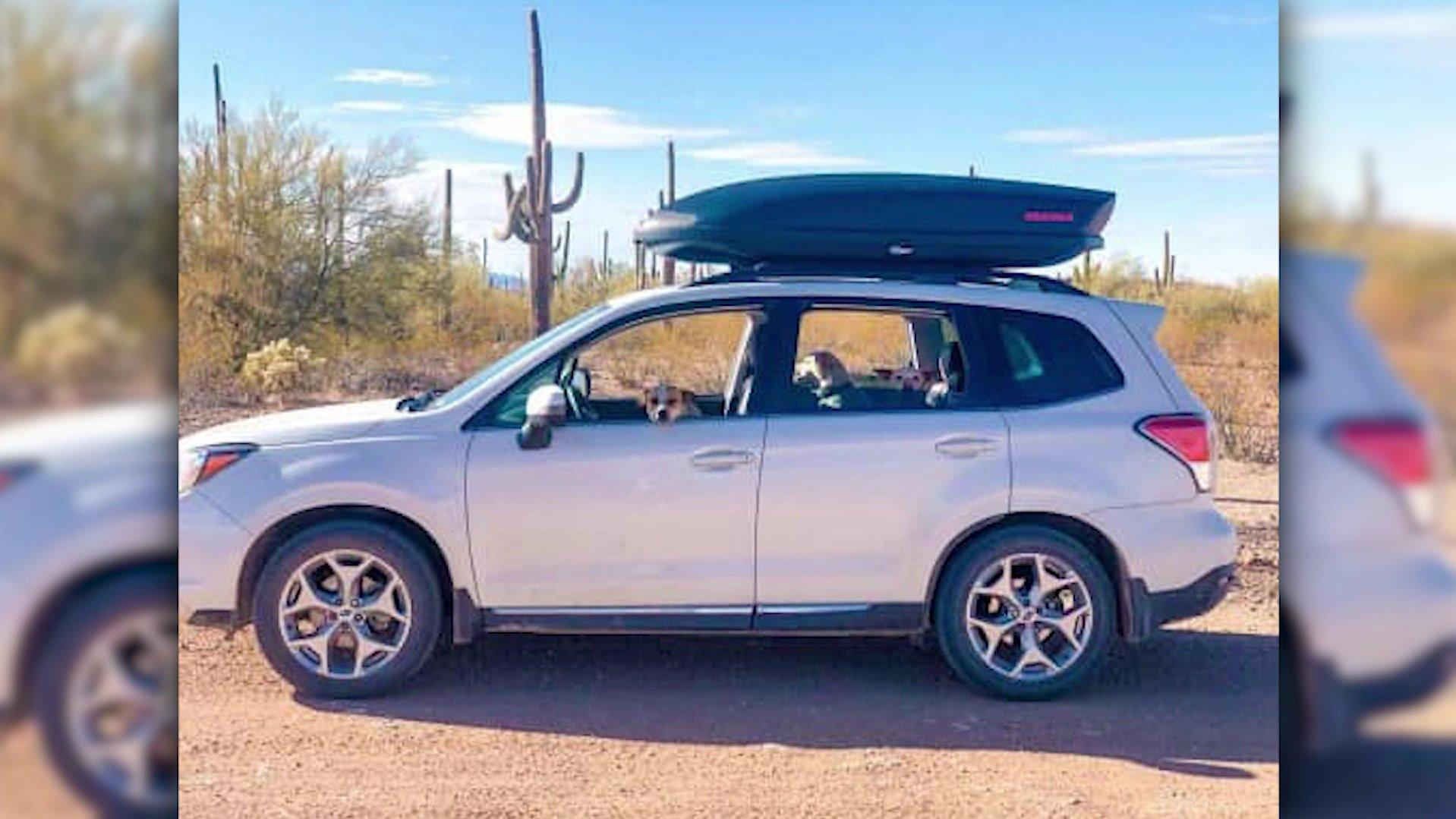 Camping-Drama: Tourist stirbt nach Reifenpanne im Death Valley - trauriger Zettel im Auto Der weiße Subaru von Alexander Lofgren und Emily Henkel