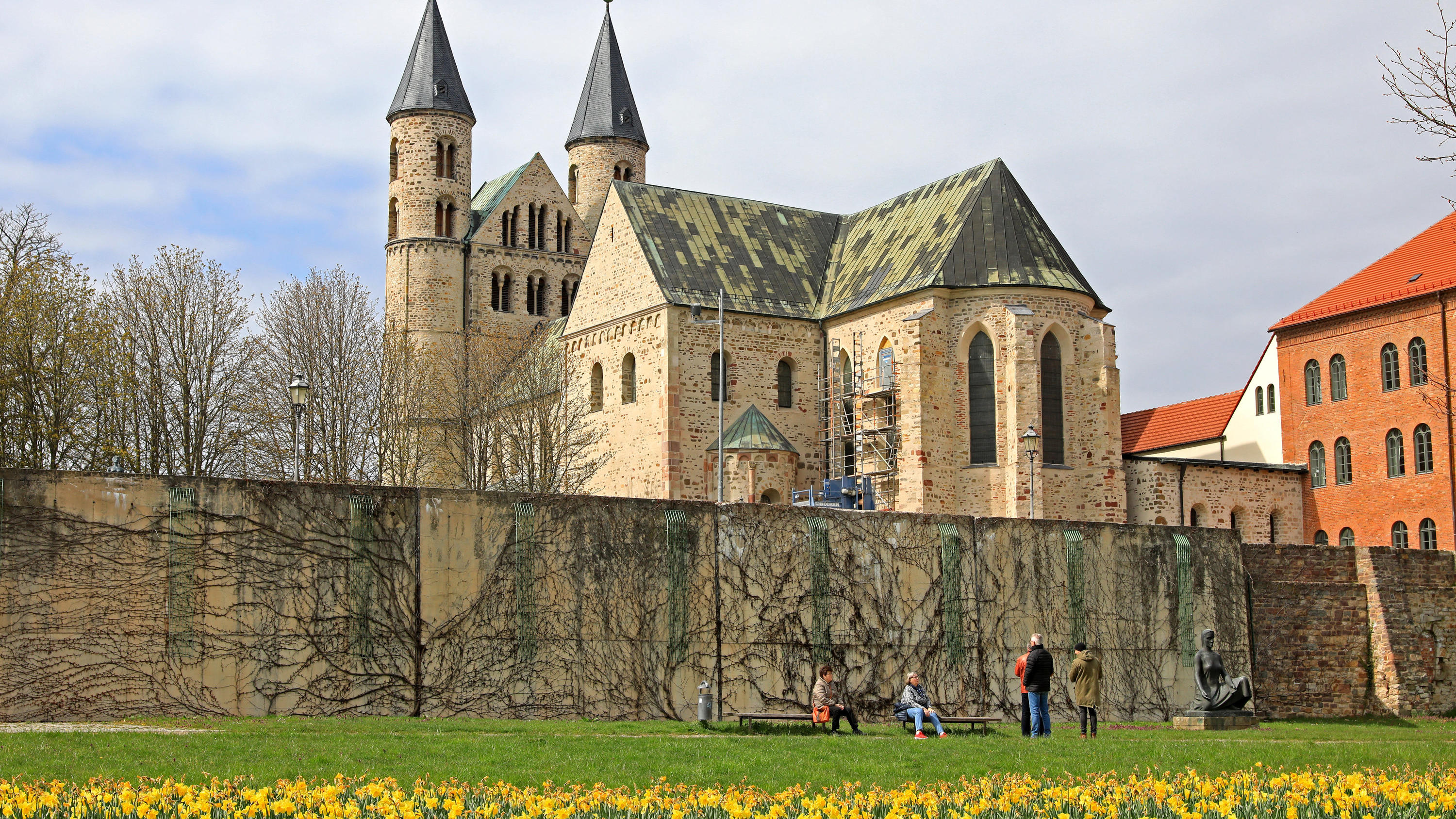 7-Tage-Wettertrend: April 2021 kriegt keinen Frühling hin Sachsen-Anhalt, Magdeburg: Gelbe Narzissen blühen vor den Gebäuden des Klosters Unserer Lieben Frauen.