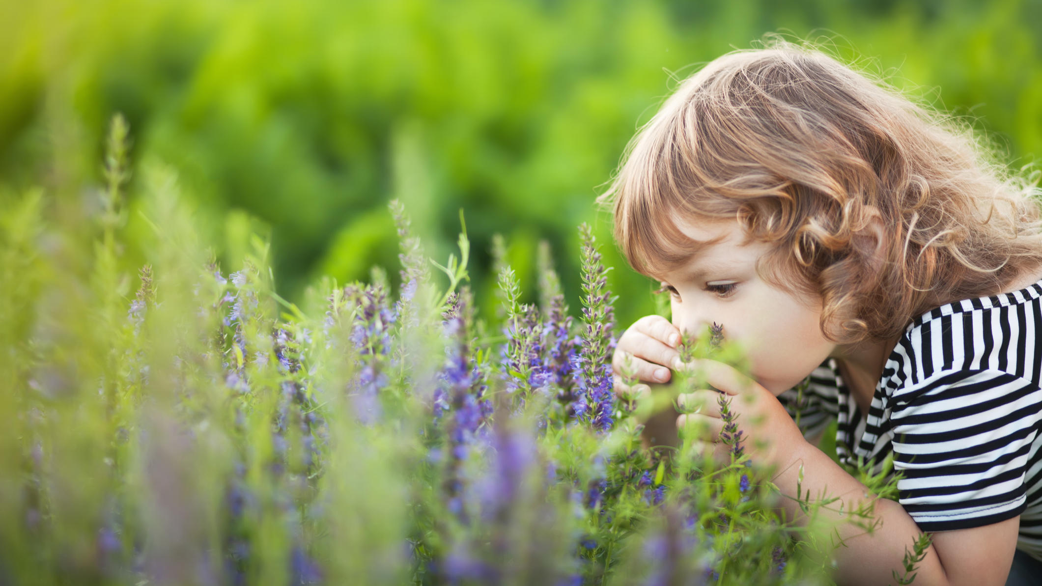 Giftige Gefahr für Kinder und Tiere: Diese Pflanzen sollten Sie nicht im Garten haben Bei Pflanzen und Blumen ist Vorsicht geboten