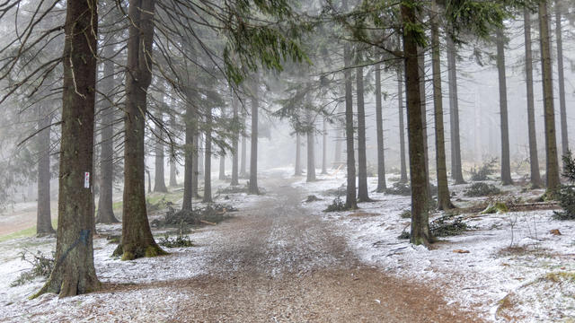 Kalte Polarluft: Bodenfrost & Schnee