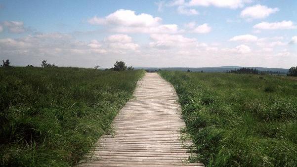 Neues Klimaschutzgesetz zu CO2-Kosten & Co.: Das steht drin! In die endlose Ferne scheint dieser Holzsteg zu führen, der durch eine Moorlandschaft im Hautes Vagnes (Hohes Venn) in den Ardennen in Belgien führt. (Aufnahme von 2000).