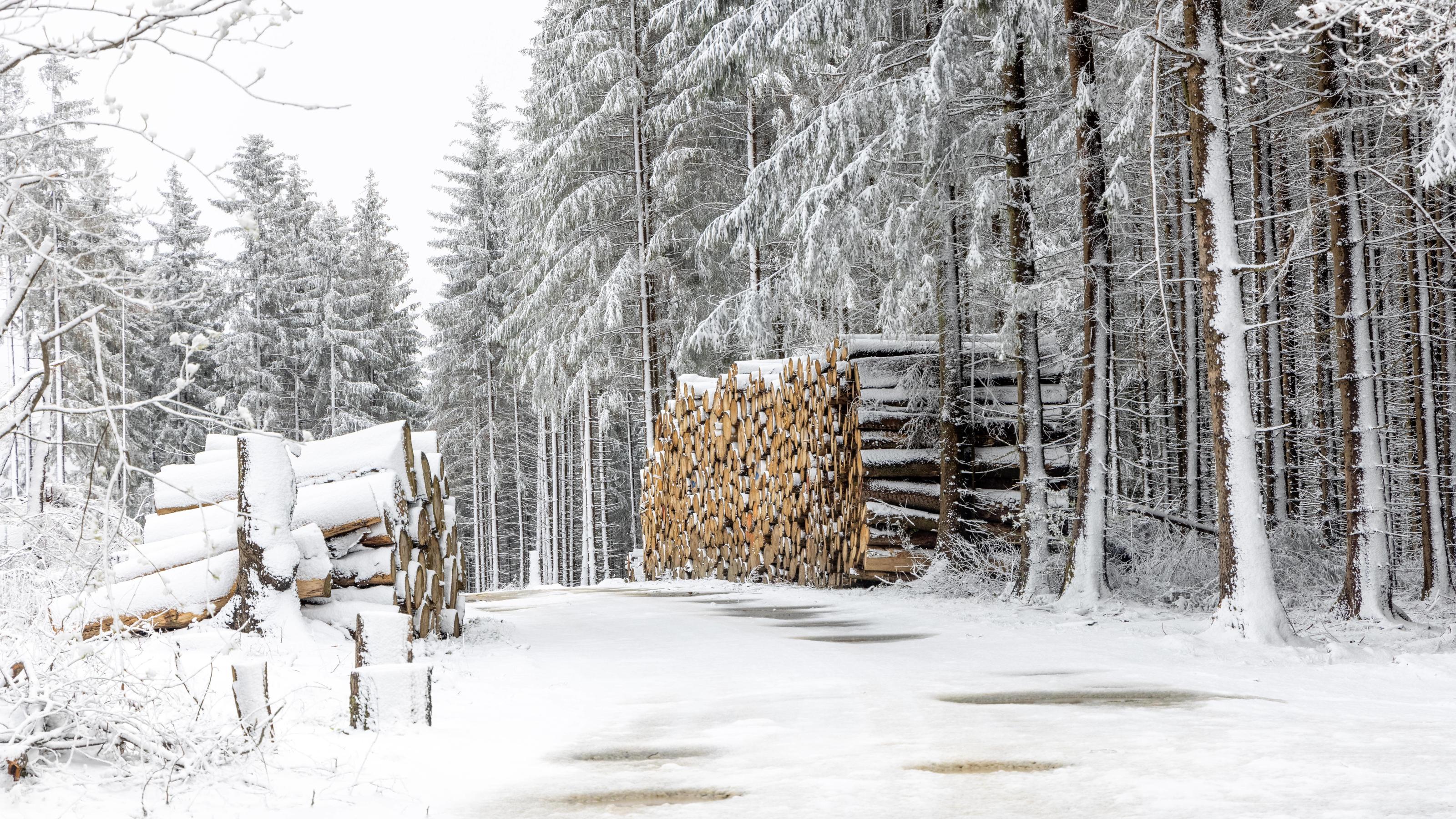 Der Frühling ohne Frühling - was für ein mieses Frühjahr Nach einem starken Schneeschauer liegt am Mittag eine dünne Schneedecke in den Höhenlagen des Taunus rund um den Großen Feldberg.