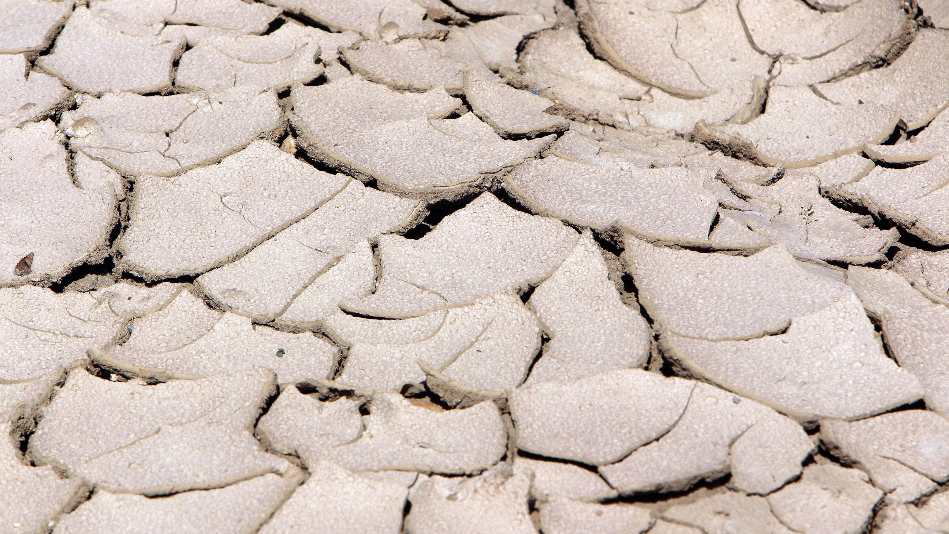 Trinkwasserknappheit in Deutschland - die versteckte Dürre Durch die anhaltende Trockenheit bilden sich Risse im Ackerboden auf einem Feld in Hofheim, Hessen, Deutschland *** Due to the persistent drought, cracks form in the arable soil of a field in Hofheim, Hesse, Germany.