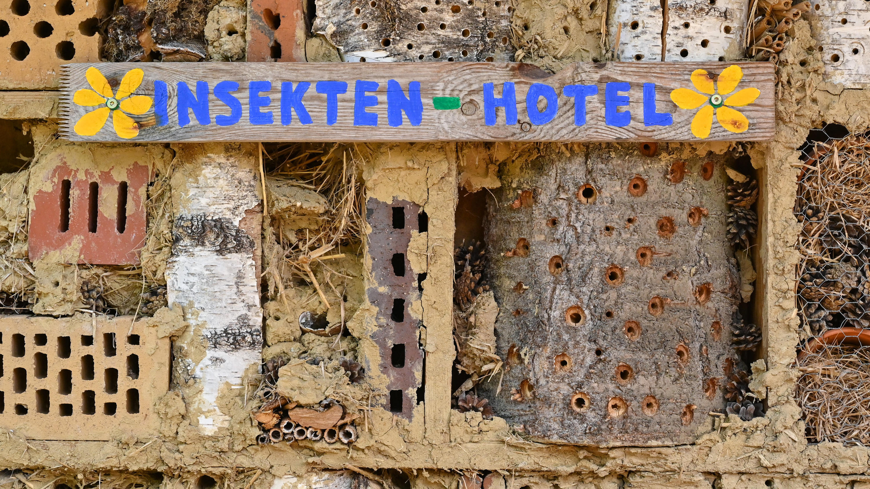 Top 5 - So retten Sie die Bienen! PRODUKTION - 11.05.2021, Brandenburg, Sieversdorf: Ein Insektenhotel für Wildbienen und andere Insekten. Bei Bienen denkt fast jeder erstmal an die Honigbiene. Doch gerade die weniger bekannten Wildbienen sind gefährdet. Foto: Patrick Pleul/dpa-Zentr