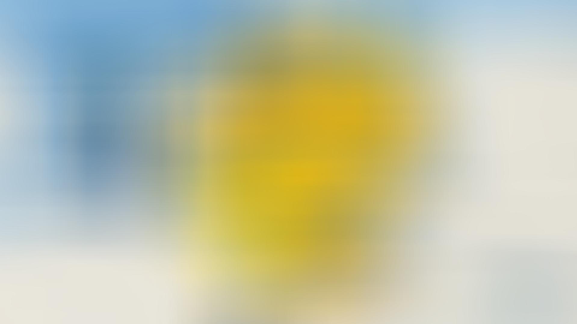 Das Wetter zur EM - Gute Chancen auf ein Sommermärchen Sonnenscheindauer in Deutschland am Freitag