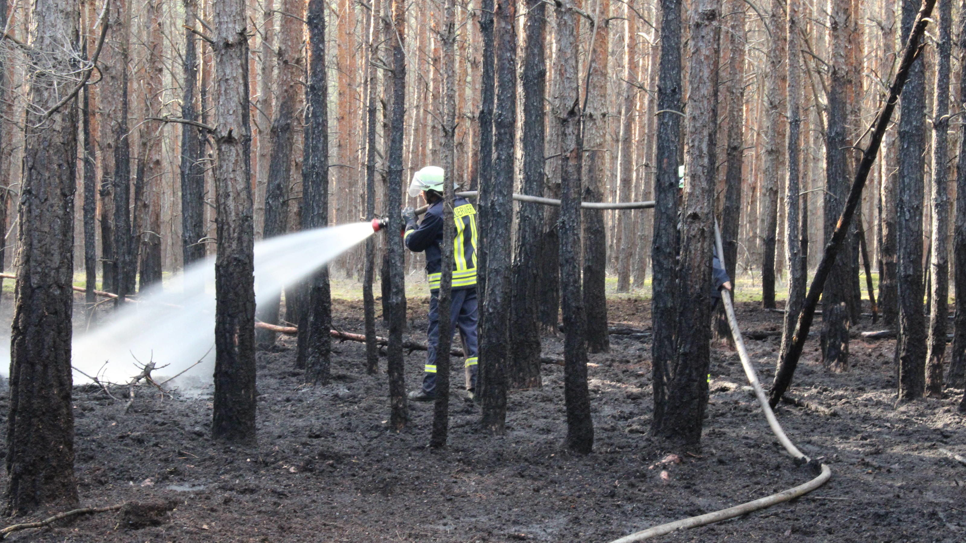 Waldbrandgefahr steigt: Wo wird es wirklich brenzlig? Waldbrandgefahr steigt: Wo wird es wirklich brenzlig?