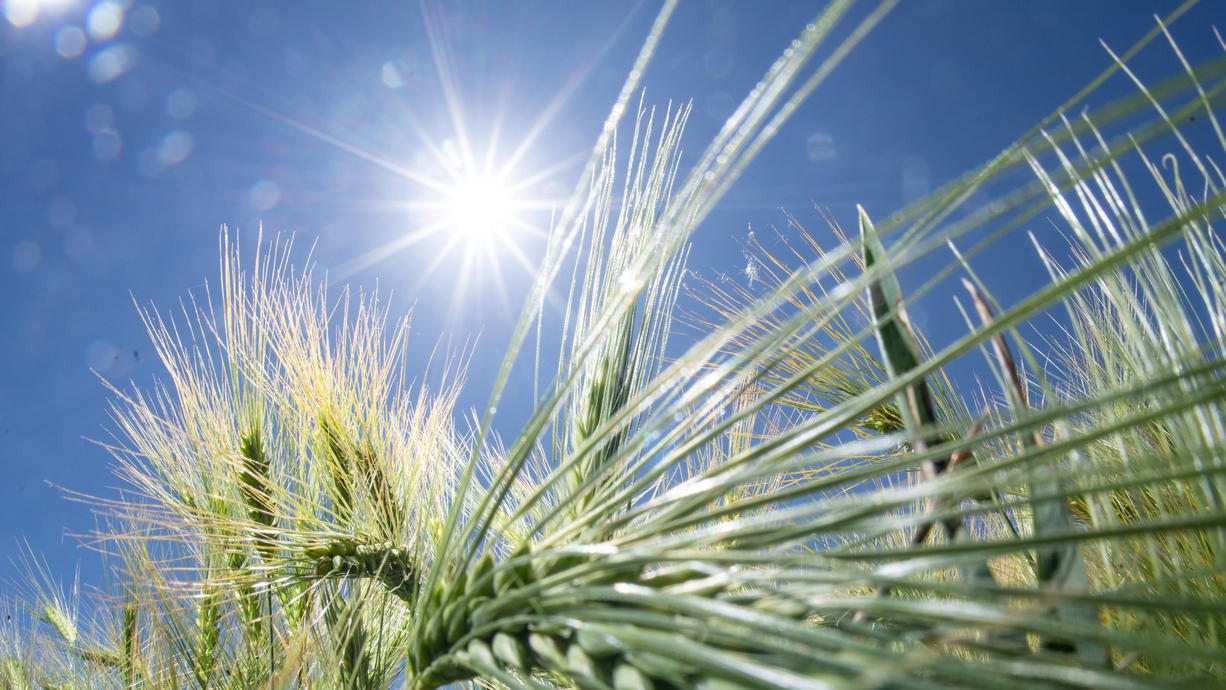 Bis zu 32 Grad im Südwesten