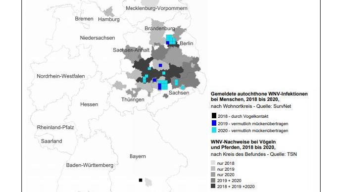 Sind die Mücken in diesem Sommer besonders aktiv? Auftreten des West-Nil-Virus bei Menschen, Vögeln und Pferden in Deutschland