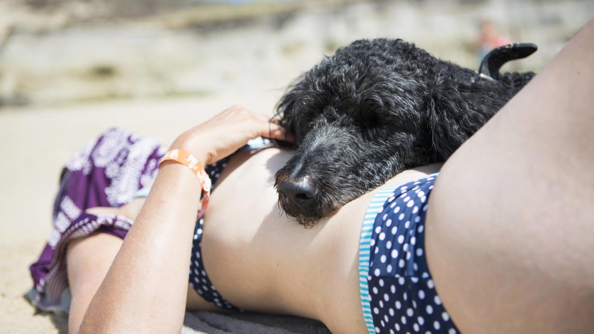 Bis 37 Grad und immer schwüler