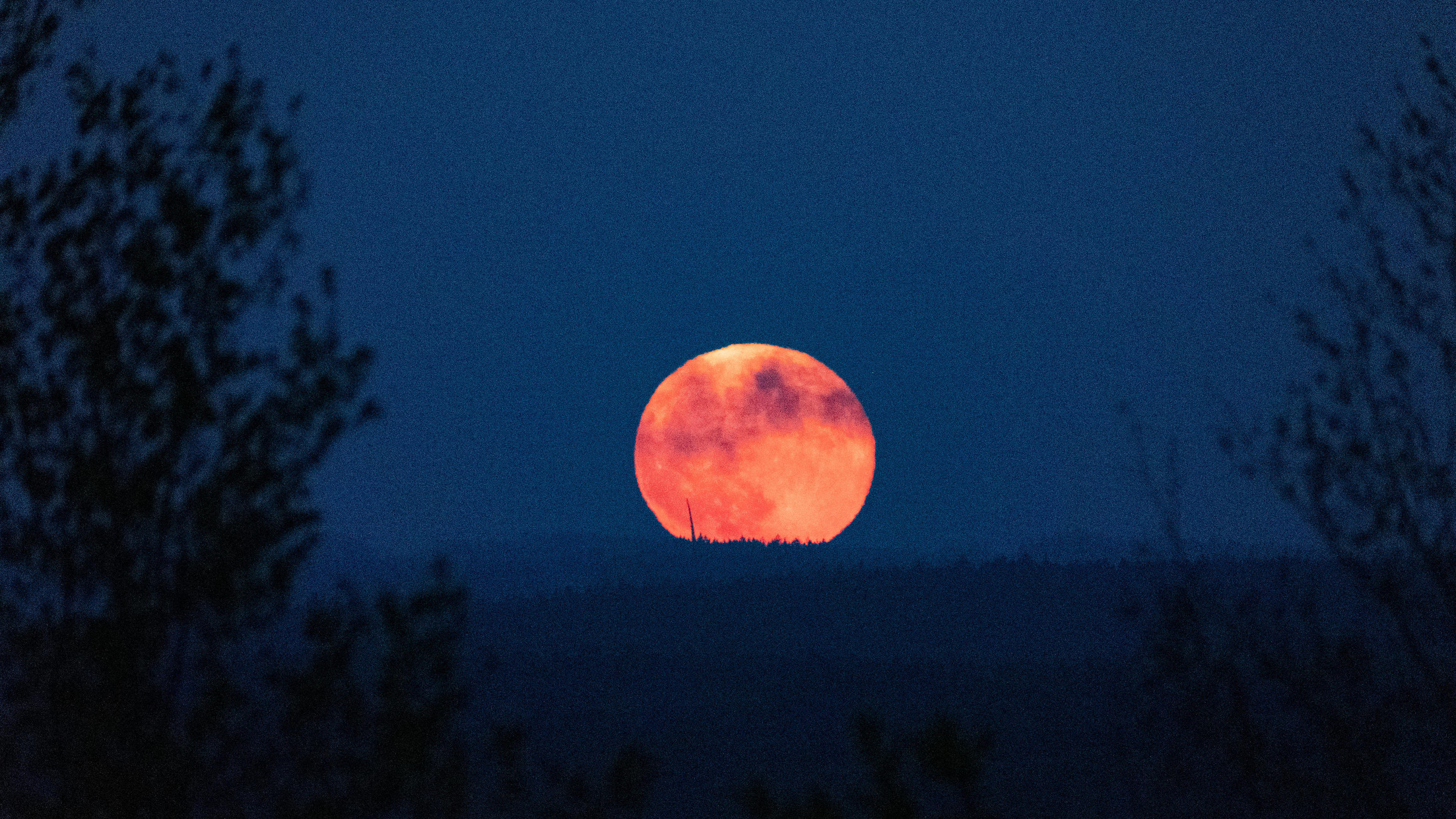 Highlights am Juli-Himmel: Aquariiden-Sternschnuppen, Jupiter und Saturn Der nächste Vollmond erwartet uns am 24. Juli.