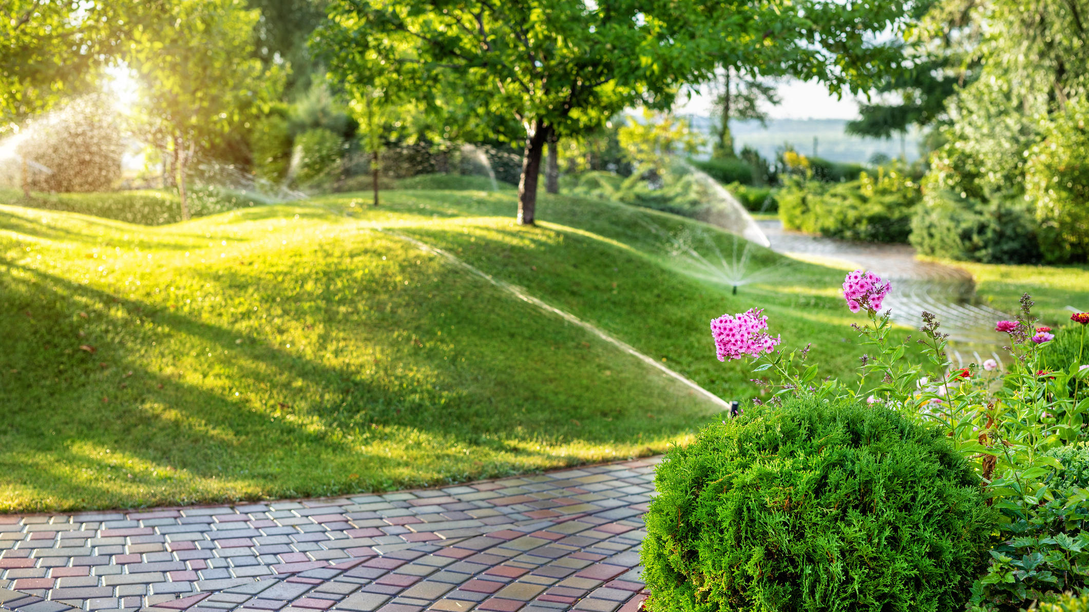 Urlaubszeit: So bewässern sich Ihre Pflanzen wie von selbst Bewässerungs-Systeme in Haus und Garten: Was ist sinnvoll?