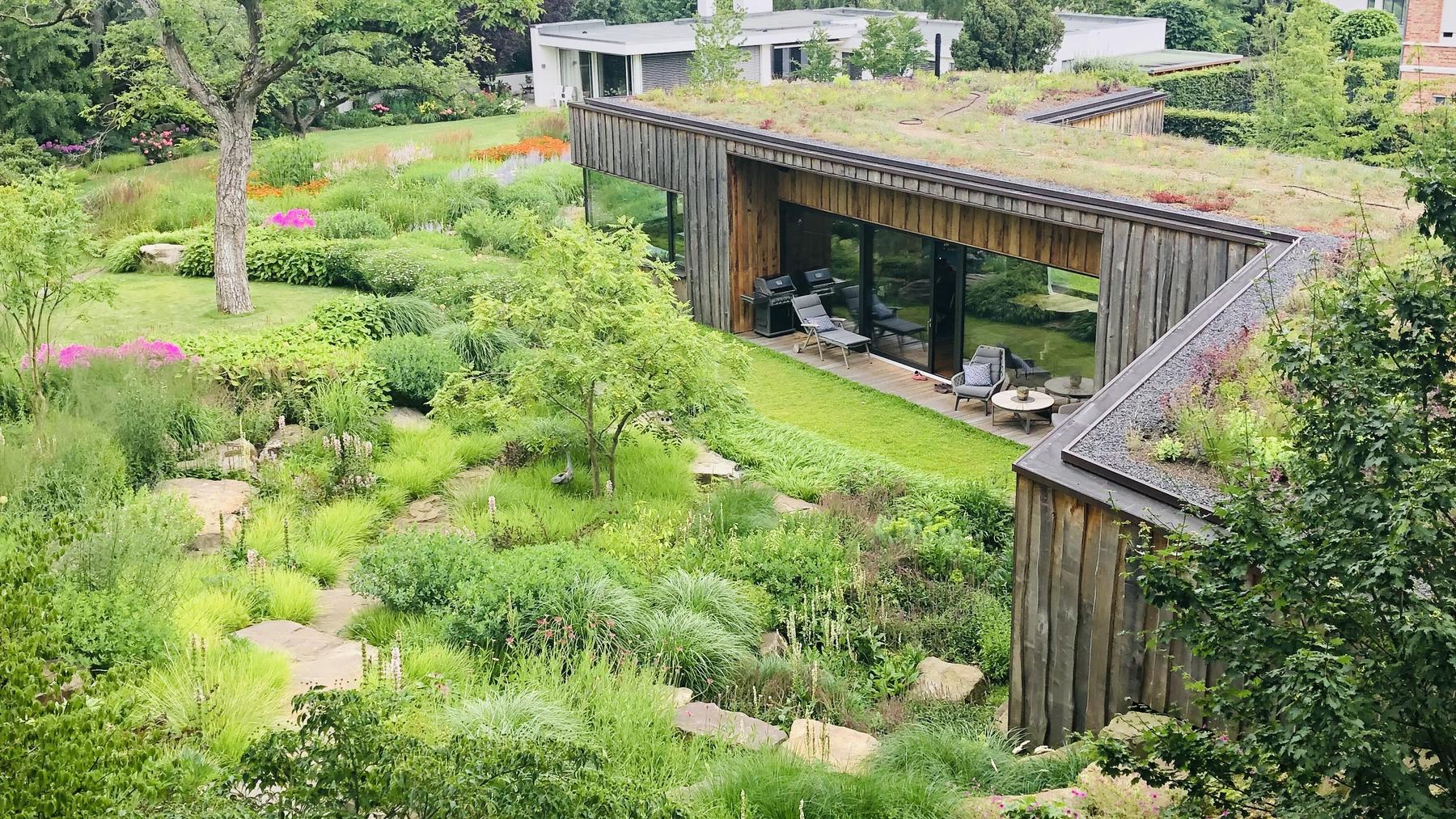 Ohne viel Arbeit zum Garten mit Wow-Effekt Garten des Jahres 2021