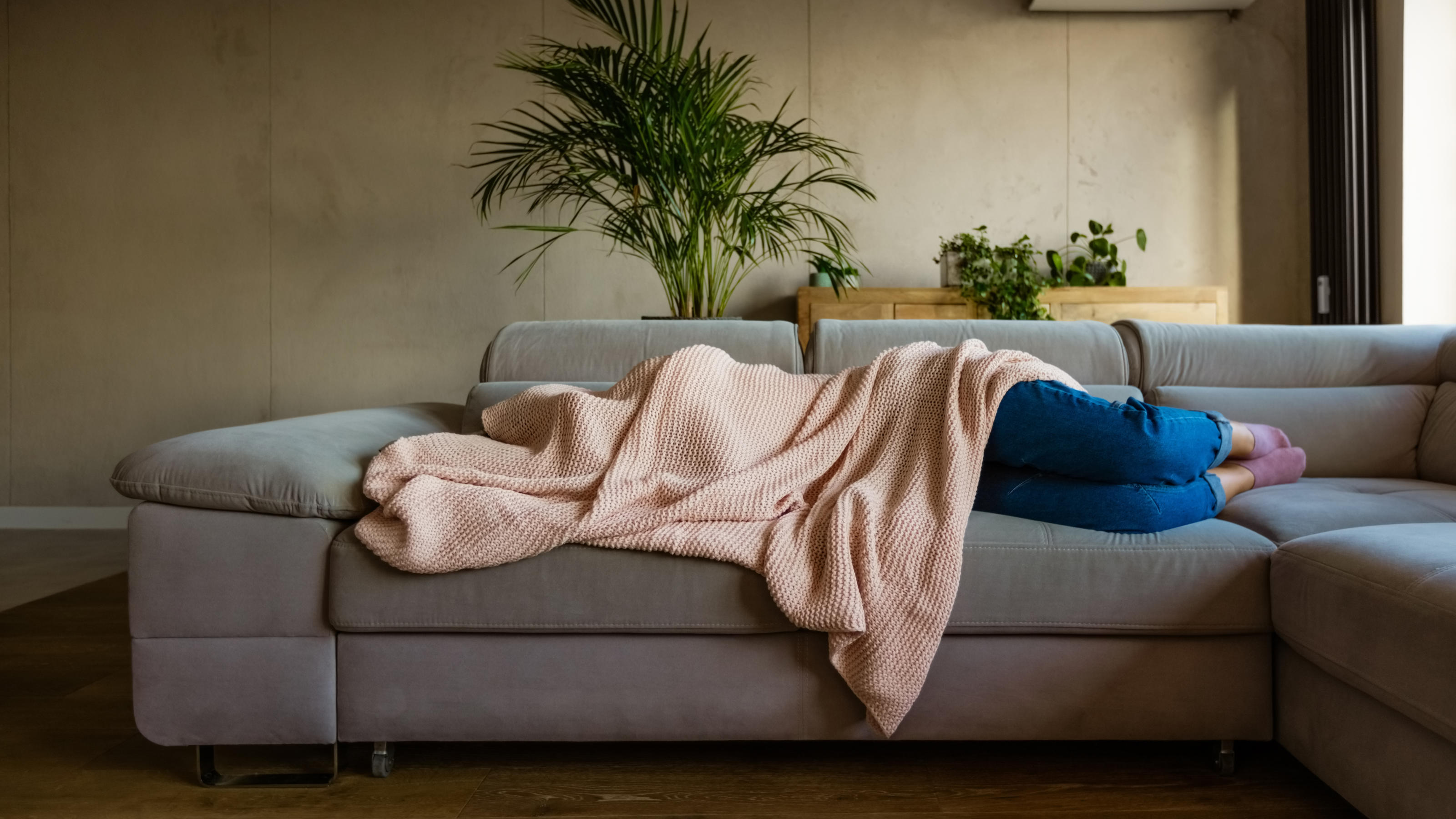 Fünf Gründe, warum Sie mit Kater keinen Sport machen sollten Eine junge Frau liegt auf ihrem Sofa im Wohnzimmer und hat sich die Decke über den Kopf gezogen.