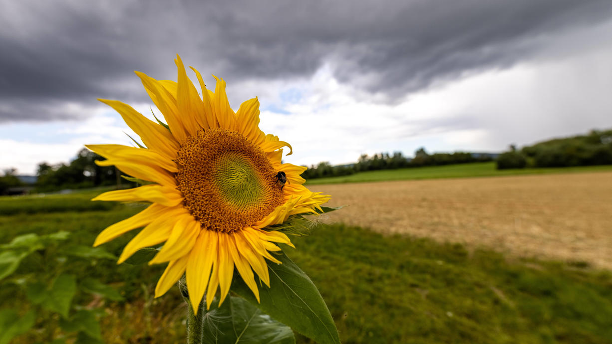 Kühle Temperaturen