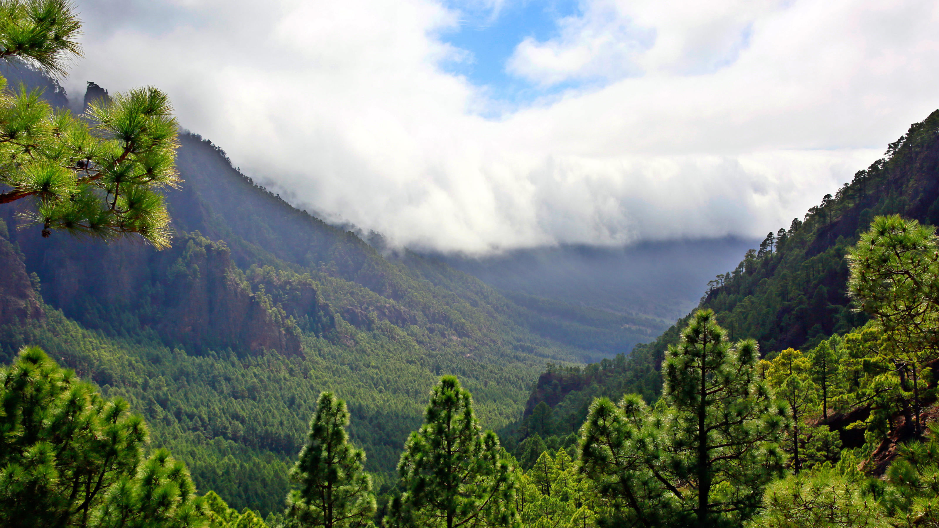 Über 4200 Minibeben auf La Palma: Vulkanausbruch immer wahrscheinlicher La Cumbrecita nach Sueden zur Cumbre Vieja, La Palma, Vulkankette, Vulkanausbruch, Erdbeben