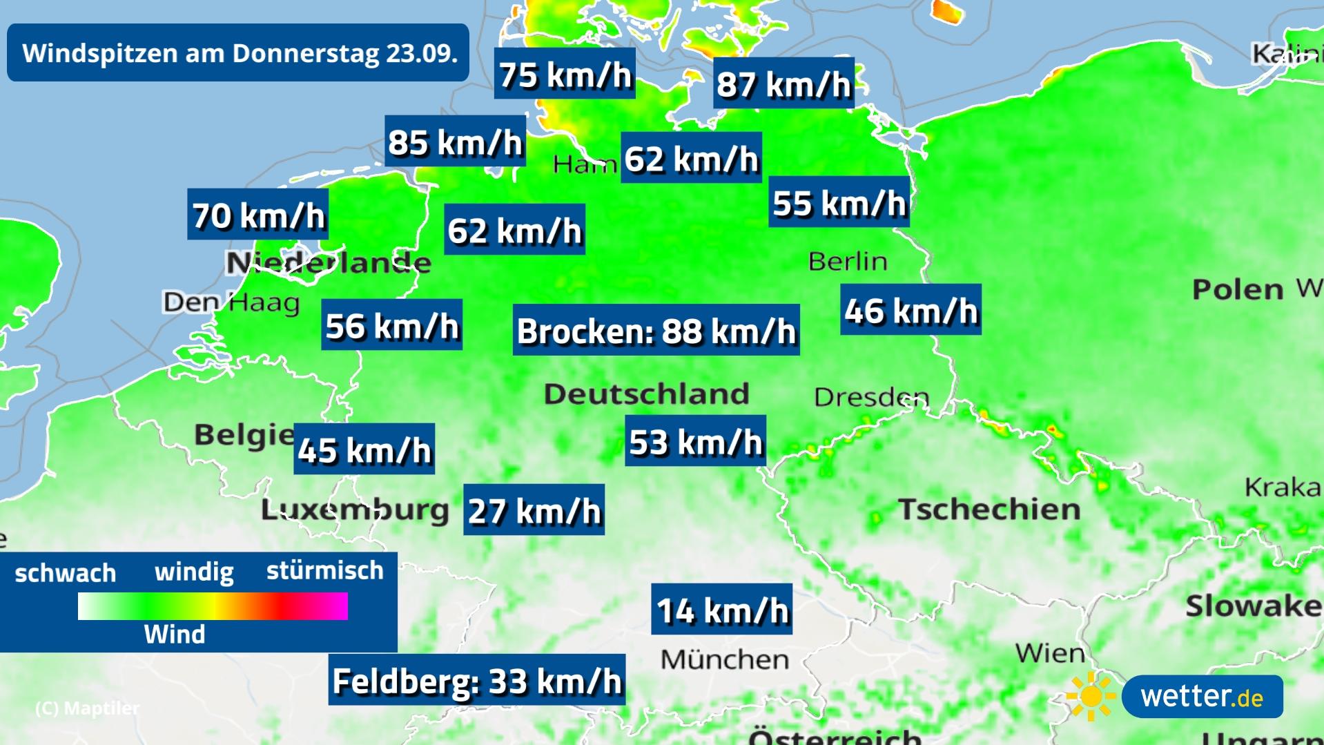 7-Tage-Wettertrend: Nach Sturm-Intermezzo kommt der Altweibersommer überall zurück In der Nordhälfte ist es am Donnerstag schon recht windig.