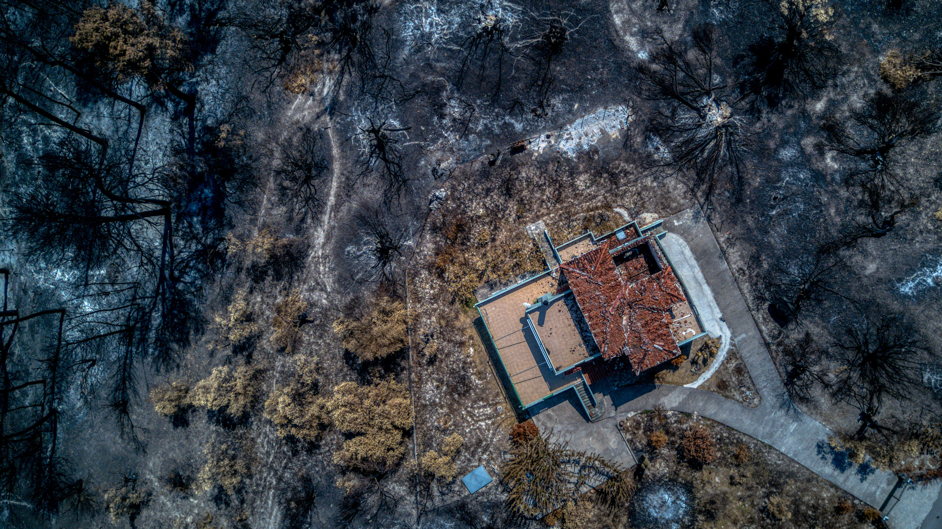 Unwetter in Griechenland: Euböa - erst kamen die Feuer, jetzt die Fluten Griechenland - Insel Euböa - Evia, verbrannte Flächen nach den verheerenden Feuern auf der griechischen Insel Euböa im August, Momentaufnahme in Luftansicht nahe des Ortes Agia Anna am 22. August 2021.