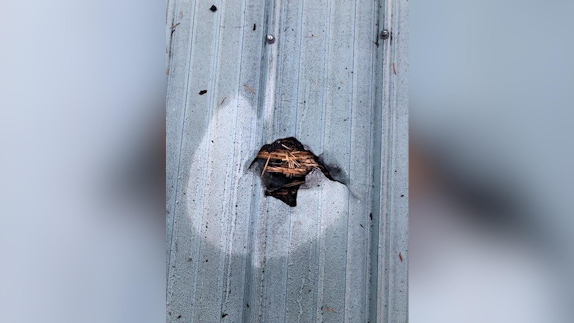 Meteorit landet auf dem Kopfkissen neben schlafender Frau Meteorit, Dach, Kanada,