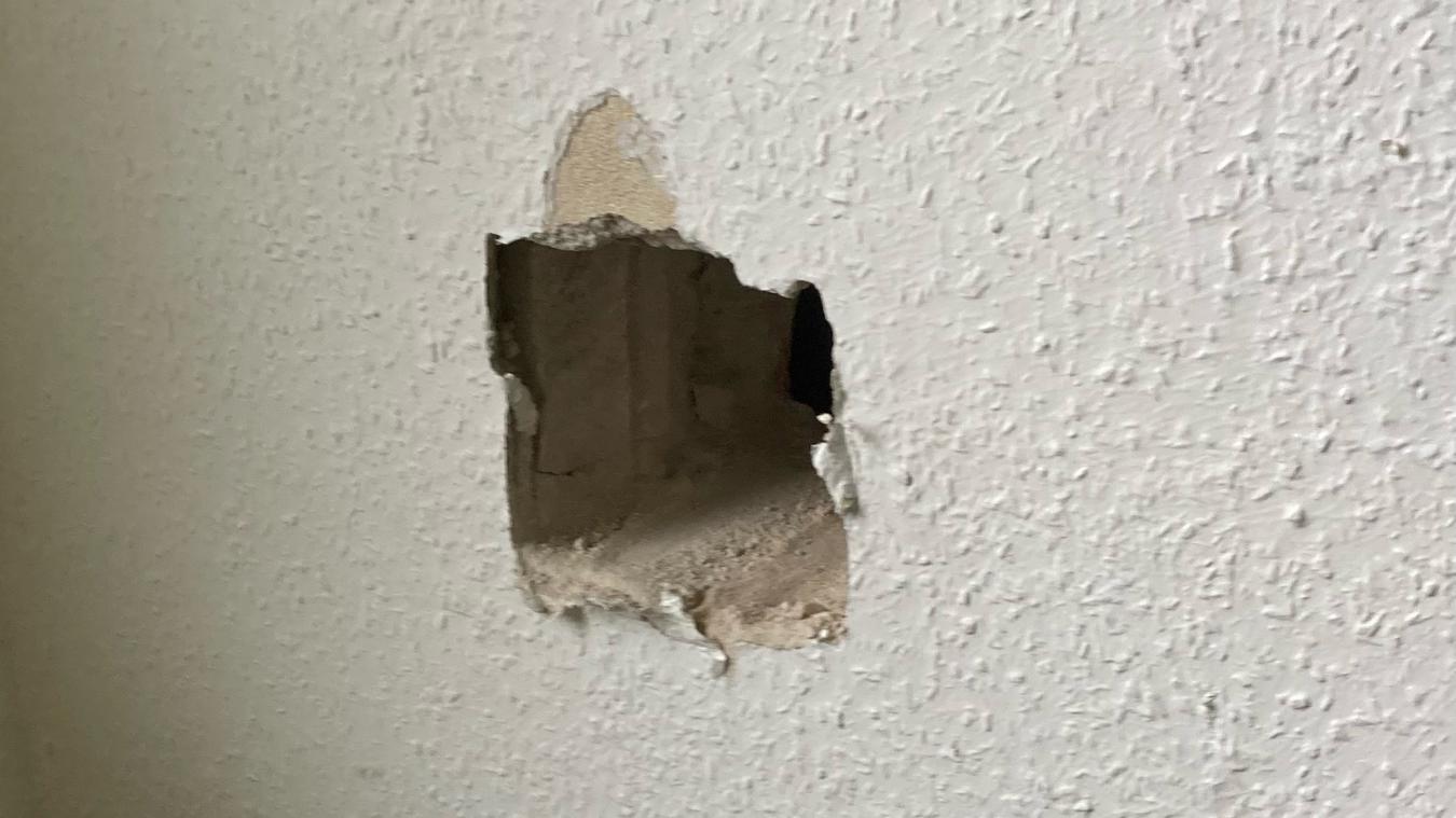 Halter sucht seine Katze, dann mauzt es aus der Wand Der Tierhalter vermisste seine Katze bereits seit Sonntag. Auf der Suche nach dem Tier hörte er irgendwann ein Mauzen aus der Wand. Die Katze war in einen alten stillgelegten Schornstein gefallen.