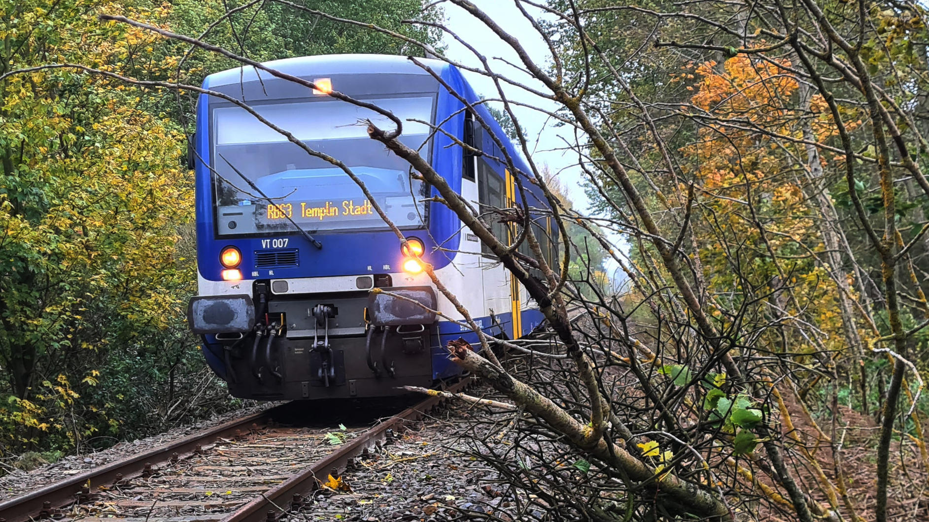 Brandenburg: Lokführer will Gleis bei Templin räumen und wird von Baum getroffen Brandenburg: Regionalzug musste wegen Sturmschäden anhalten.