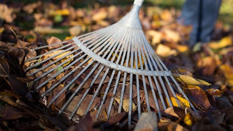Garten winterfest machen: Die wichtigsten Aufgaben, die Sie im Herbst erledigen sollten Fegen Sie ihr Laub im Herbst regelmäßig weg, es sollte nicht liegen gelassen werden.