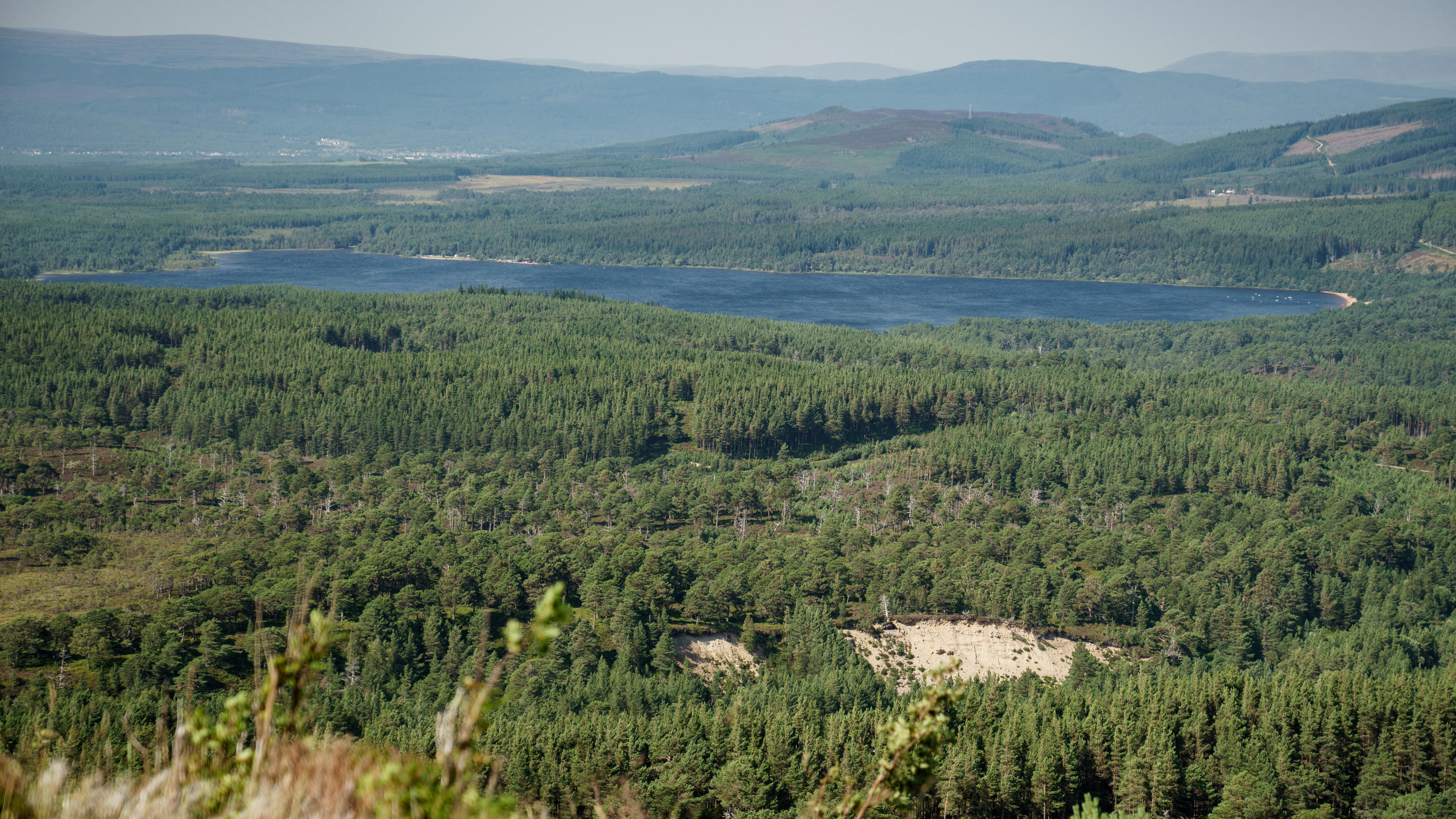 Gastgeber Schottland geht bei den Klimazielen mit gutem Beispiel voran Wald in Cairngorms auf Loch Morlich in Schottland