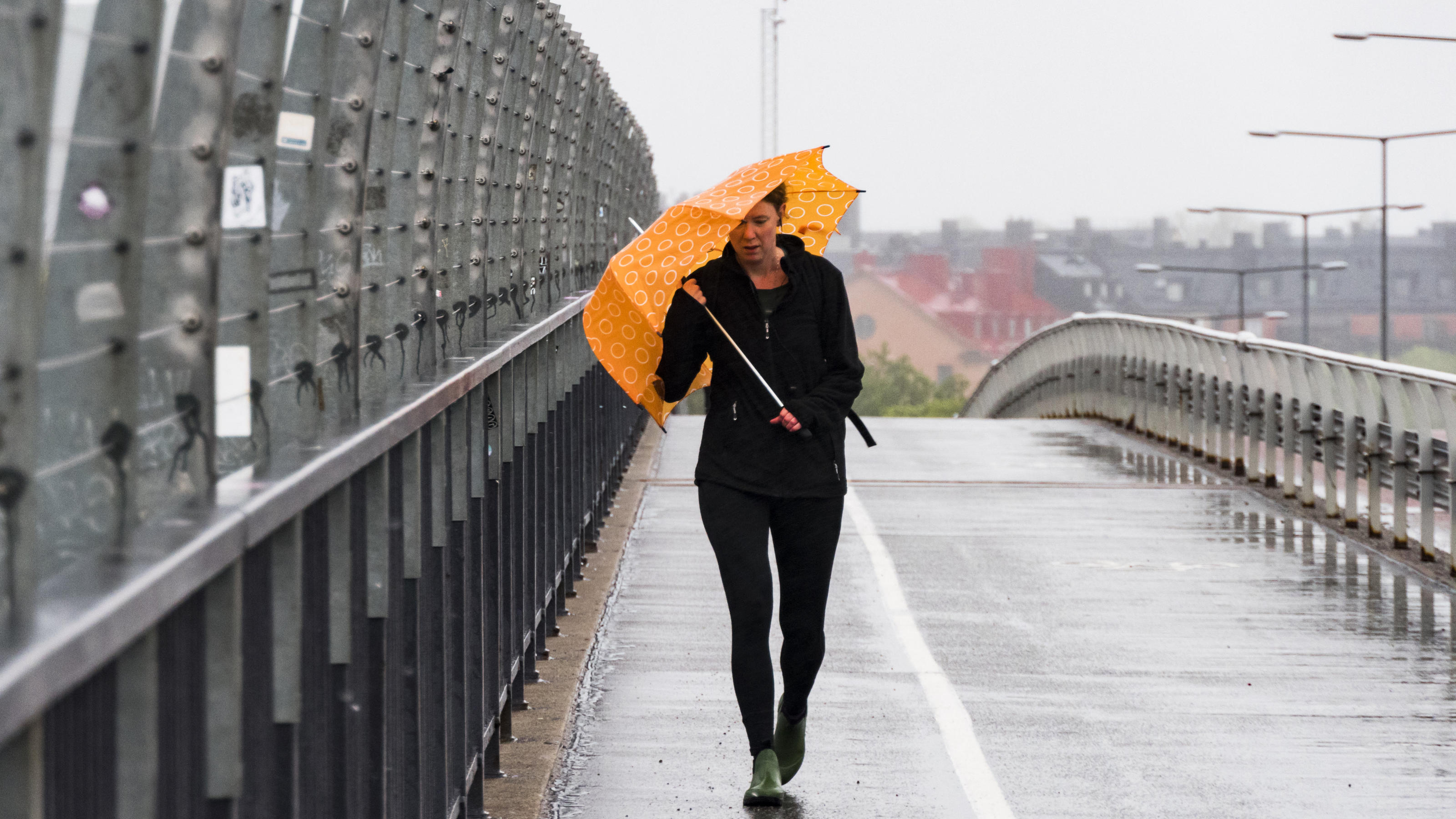 7-Tage-Wettertrend: Schnee, Glätte und Sturm - Winter gibt alles Windig und mild wird es nächste Woche Dienstag und Mittwoch