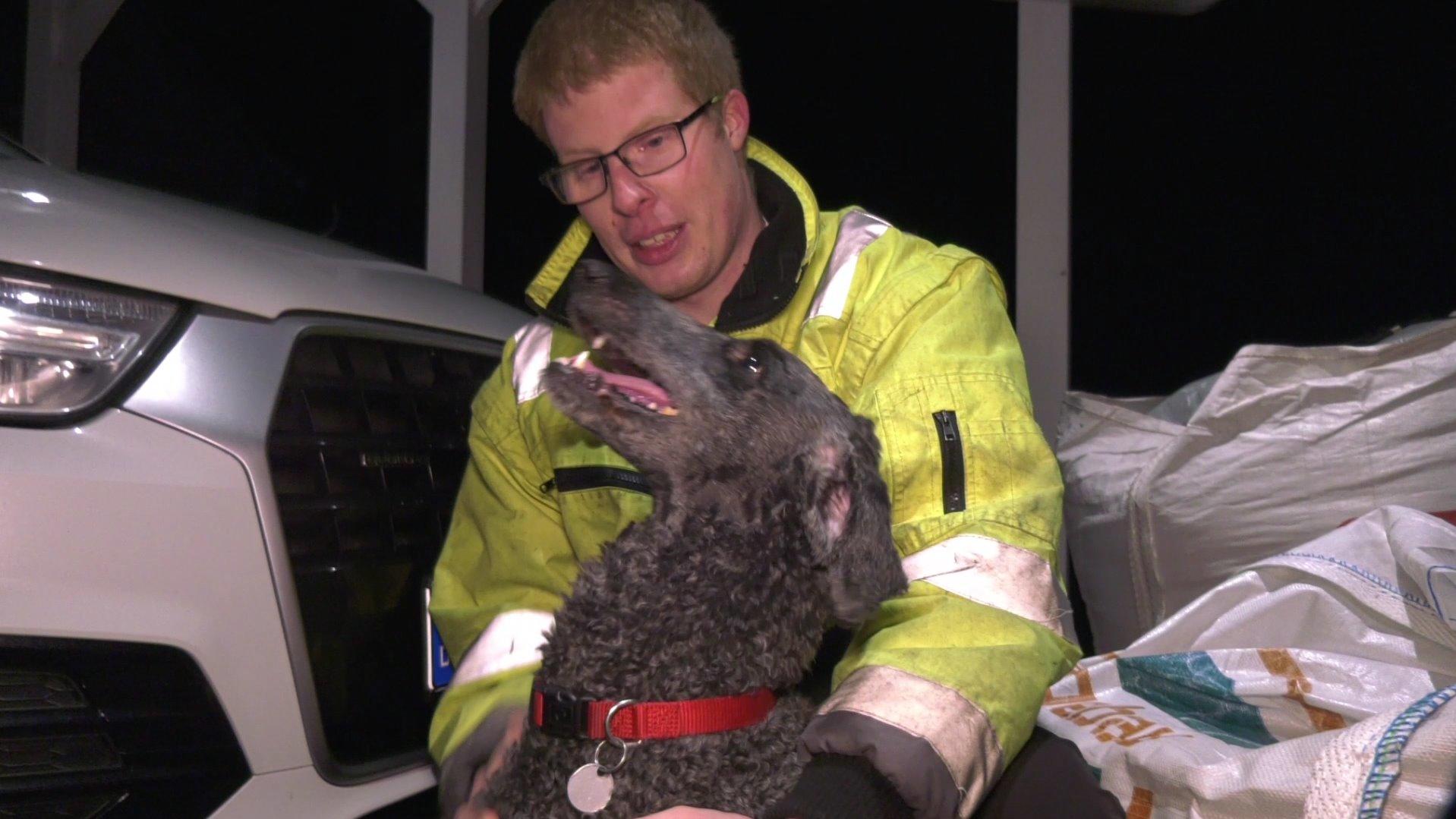 Lebensretter auf vier Pfoten: Hund bemerkt Brand und weckt Herrchen Lebensrettender Hund