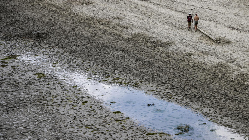 Extremwetter Hitzewellen D Rre Bericht Warnt Vor Alarmierender