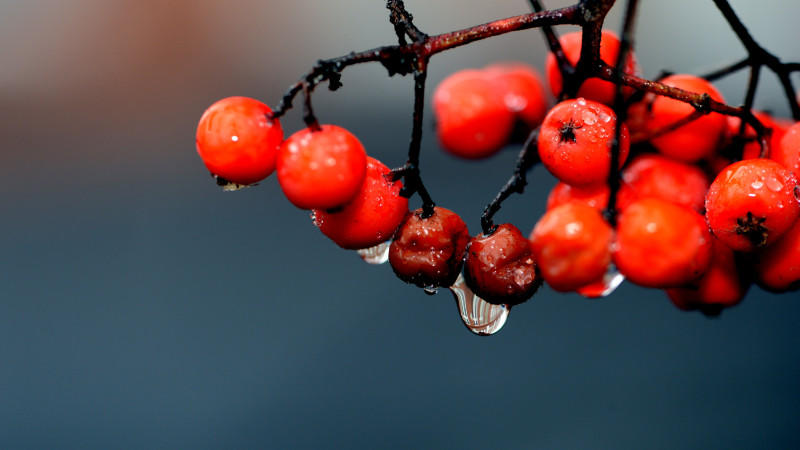 Wettertrend vom 22.12.2013 Wettertrend Silvester