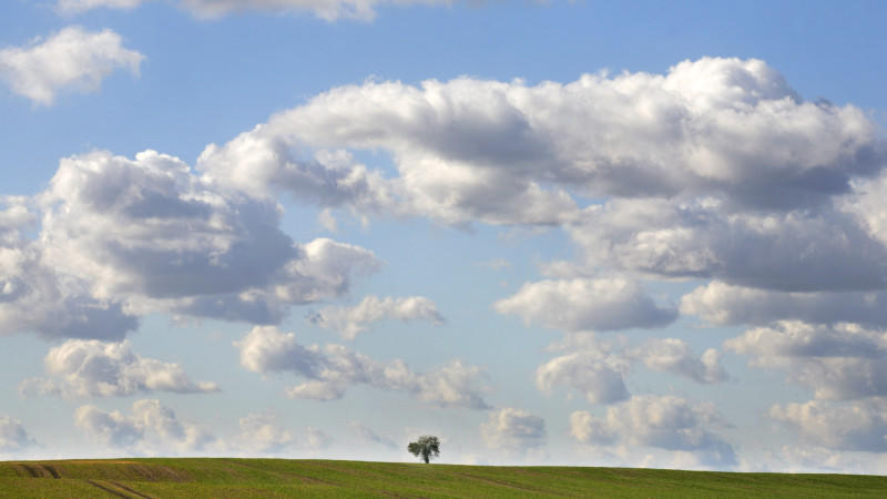 Jahreszeiten astronomisch & meteorologisch: Wann beginnt der Herbst? Jahreszeiten Beginn