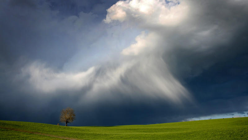 Wetter im April: Immer für eine Überraschung gut Das kann uns wettertechnisch im April blühen
