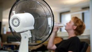 Zugluft macht doch krank Zugluft und Klimaanlagen sind gesundheitsschädlich