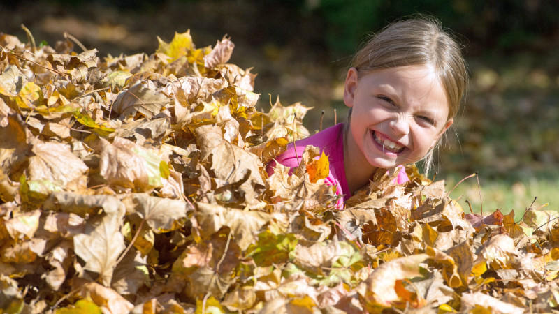 Der 7-Tage-Wettertrend: Nach mieser Herbstwoche lockt ein goldenes Wochenende Das siebenjährige Mädchen Amy hat am 05.10.2014 sichtlichen Spaß beim Herumtollen in einem Blätterhaufen auf einer Wiese in Sieversdorf im Landkreis Oder-Spree (Brandenburg). Foto: Patrick Pleul - model released -