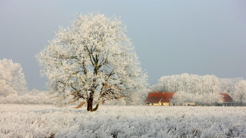 Lexikon: Wintersonnenwende und Winteranfang Lexikon: Wintersonnenwende und Winteranfang