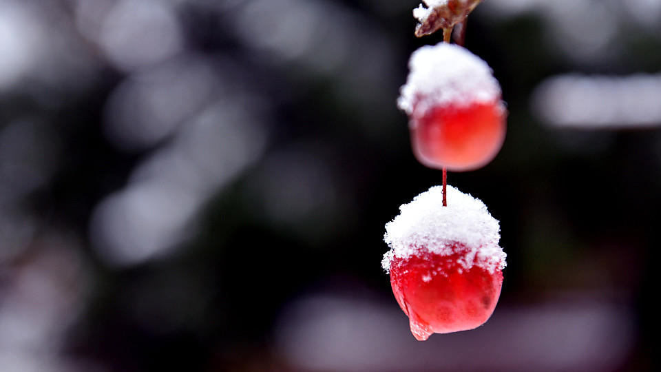 Wettertrend vom 31.01.2015 Wettertrend vom 31.01.2015