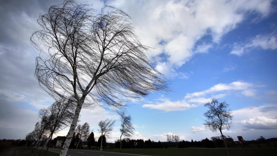 Wetterbericht für den 22.12.2015 Wetterbericht 22.12.2015