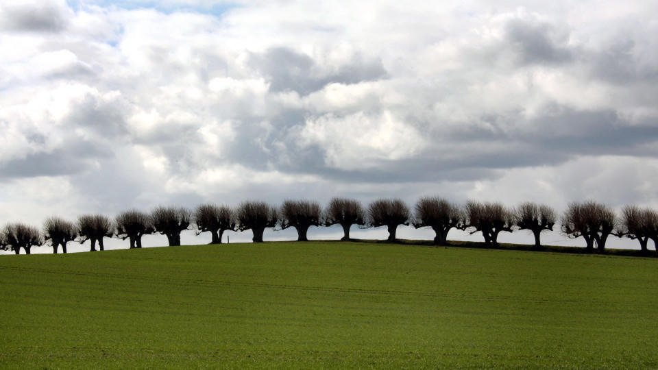Der Wettertrend vom 21.04.2015 Wettertrend Deutschland