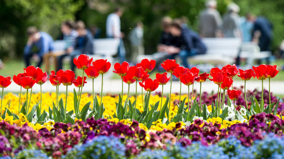 Der Wettertrend vom 29.04.2015 Wettertrend Deutschland