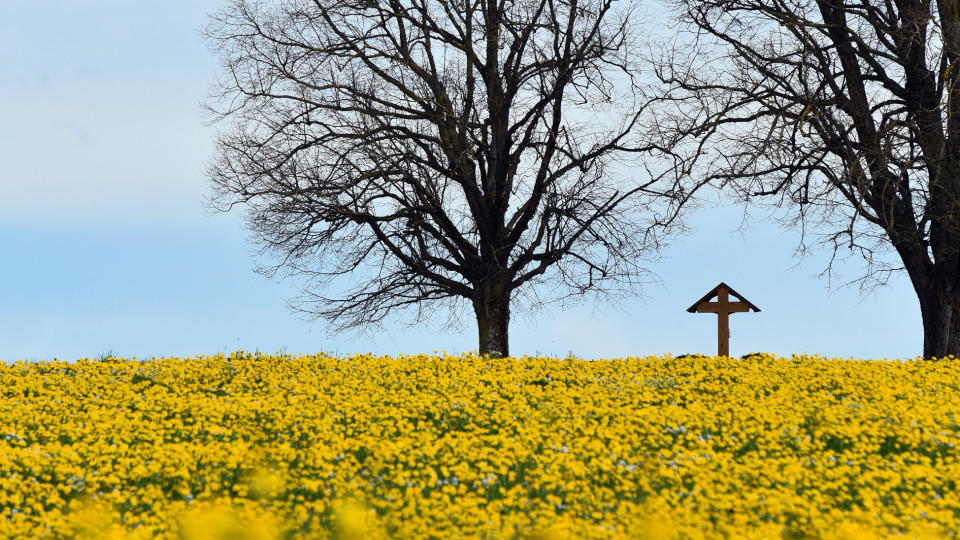 Rückblick April 2015: Sehr sonnig und viel zu trocken Rückblick April 2015