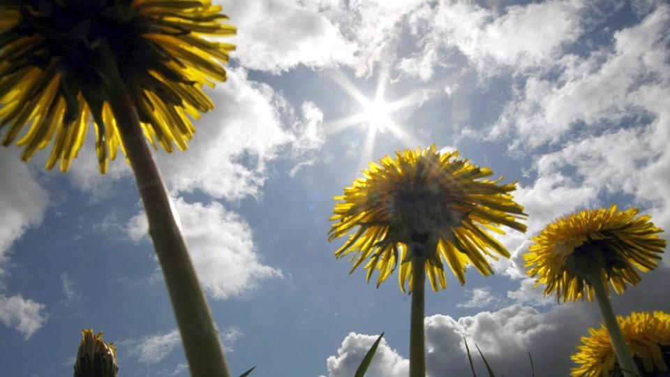 Wetterbericht für den 02.05.2015 Wetterbericht