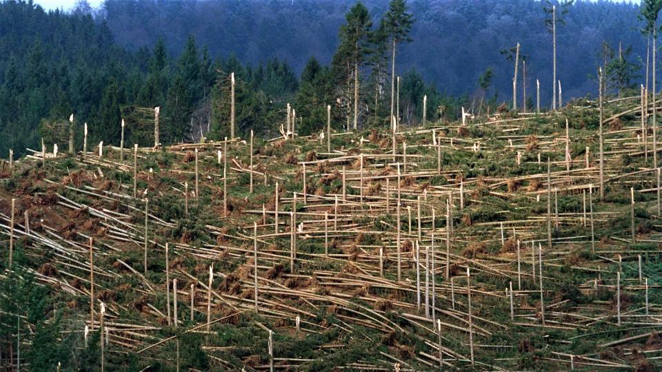 IPCC-Bericht lässt Alarmglocken schrillen: 1,5 Grad könnten ab 2030 bereits erreicht sein Die Folgen des Klimawandels werden weitreichend sein