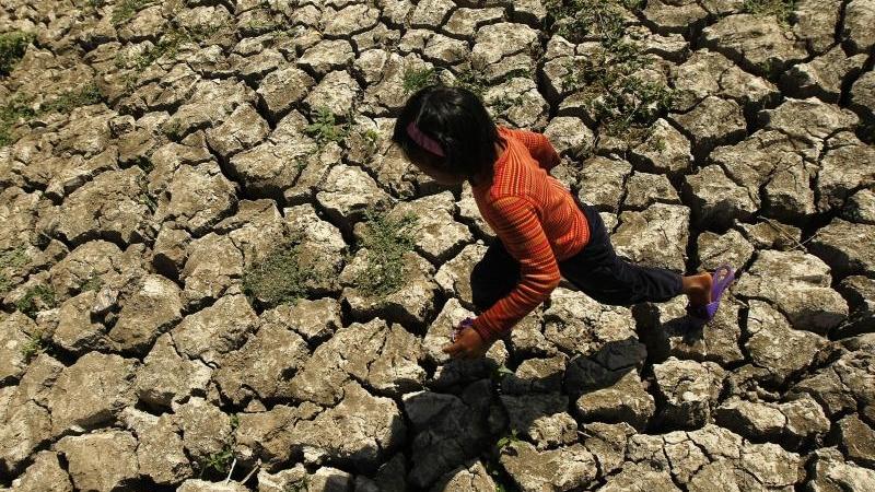 Studie: Hitze und Klimawandel machen ein Fünftel der Erde unbewohnbar In Südasien sowie in weiten Teilen Afrikas werden wegen ausbleibender Regenfälle erhebliche Ernteeinbußen befürchtet. Foto: Francis R. Malasig/Archiv